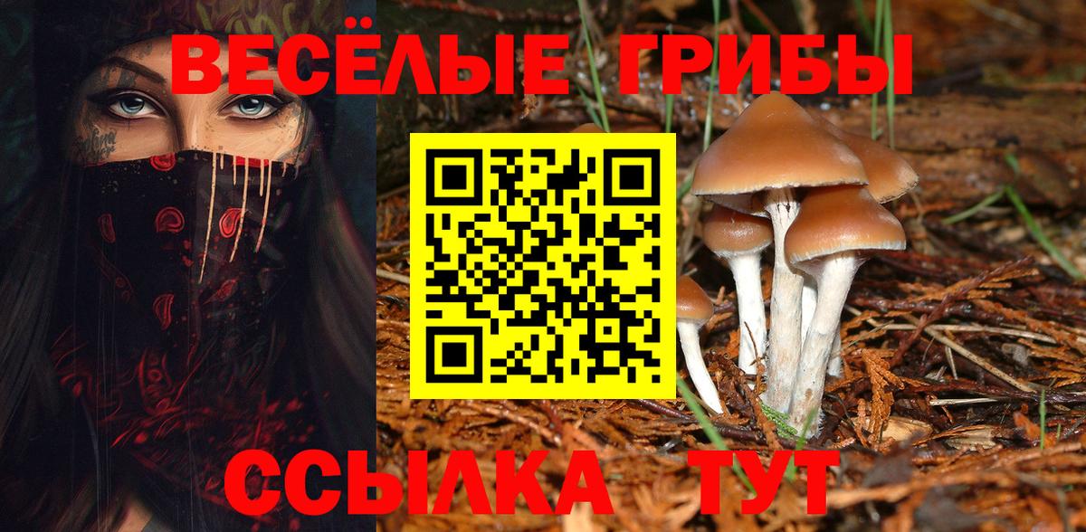 купить  сайты  Галлюциногенные грибы Magic Shrooms  Вход с VPN  Нефтекумск  Псилоцибиновые грибы прущие грибы 